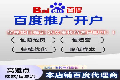 竞价广告投放策略，代运营公司的成功实践