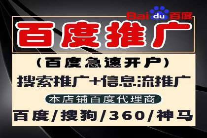 SEM竞价推广案例：电商行业成功案例解析